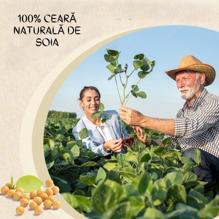 Ceară Naturală de Soia, Palmier si Rapiță pentru Matrițe Yucca ENW731P [5]