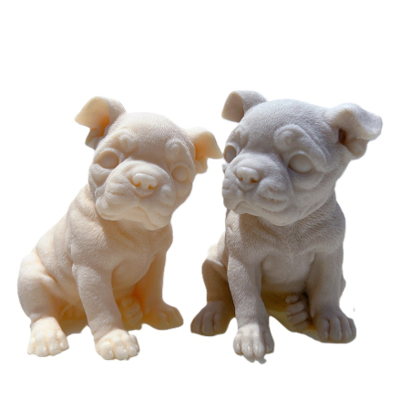 Matrita Caine Boston Terrier [4]