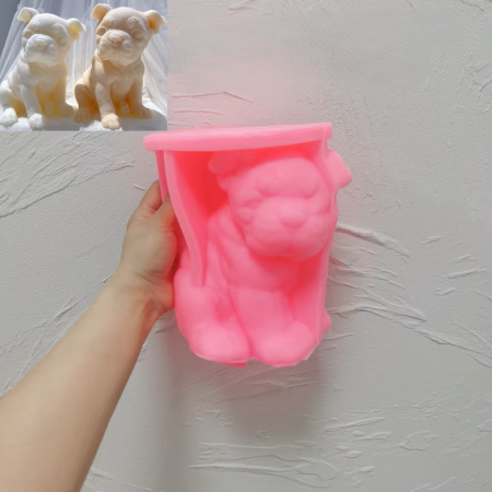 Matrita Caine Boston Terrier [2]