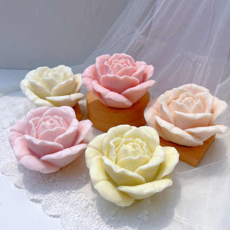 trandafir gigant [2]