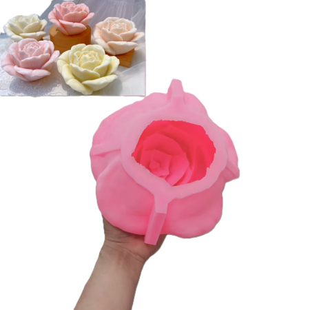 NOUTATI - trandafir gigant