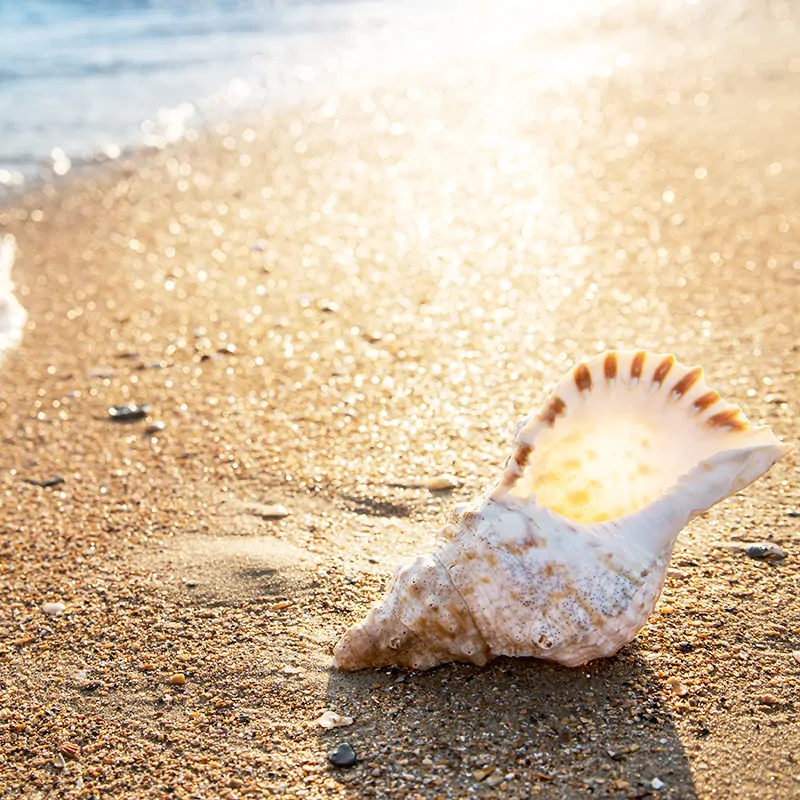 Materie Primă fabricarea Lumânărilor - Parfum Lumanari  Ocean Breeze