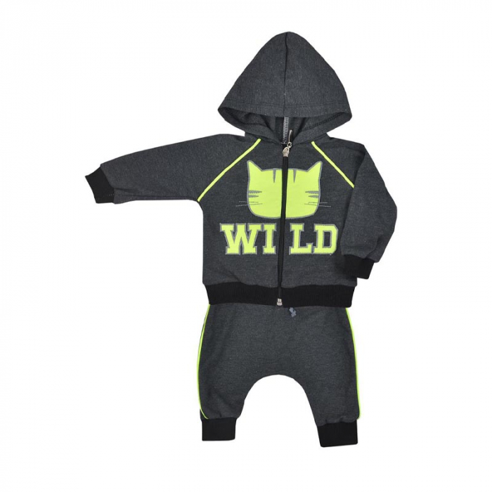 Compleu 2 piese hanorac si pantaloni pentru baieti Koala Wild 08-031-80 cm, Gri [3]