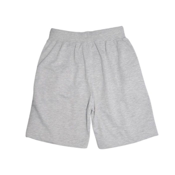 Pantaloni scurti pentru baieti Wendee DY14117-1, Gri [2]