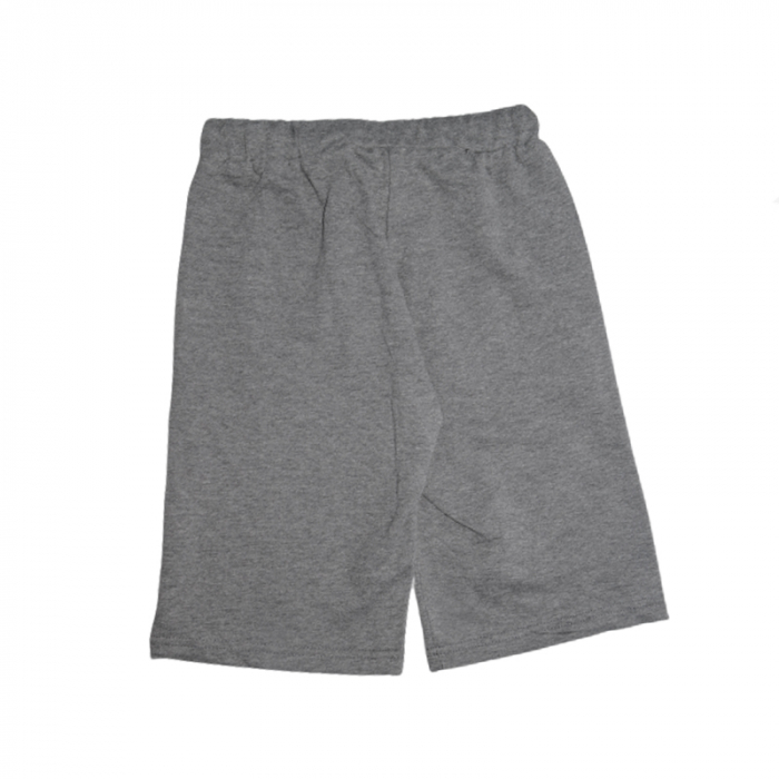 Pantaloni scurti pentru baieti Assassins Creed 890-106, Gri [2]