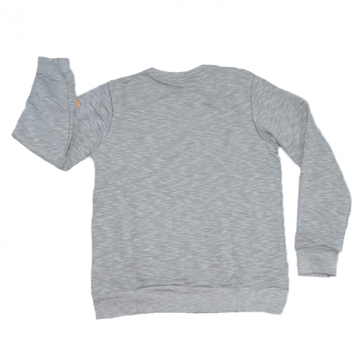 Bluza cu maneca lunga pentru baieti Atut BL7027-152, Gri [2]