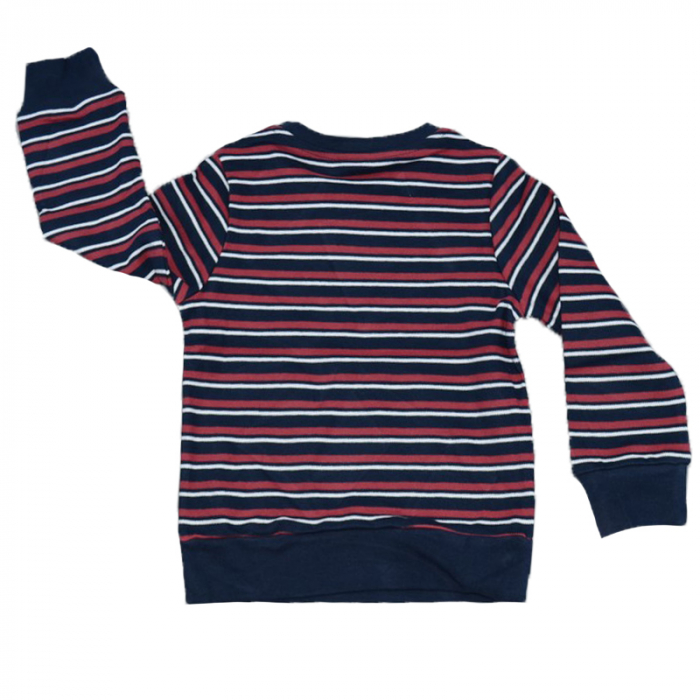 Bluza cu maneca lunga pentru baieti Atut BL7038, Multicolor [2]