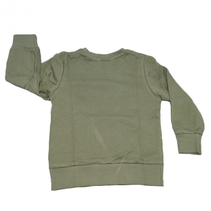 Bluza cu maneca lunga pentru baieti Atut BL8332, Verde [2]