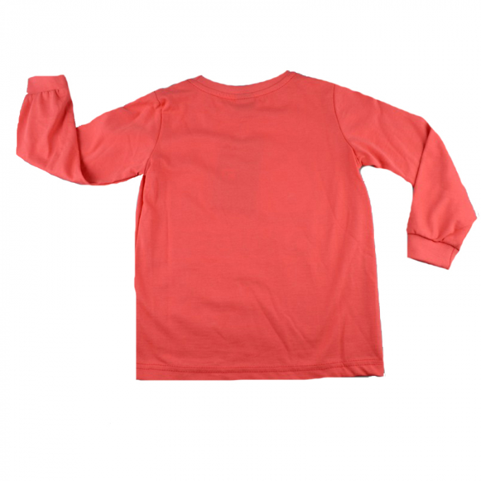 Bluza cu maneca lunga pentru baieti GT GT-5747CO-92, Coral [2]