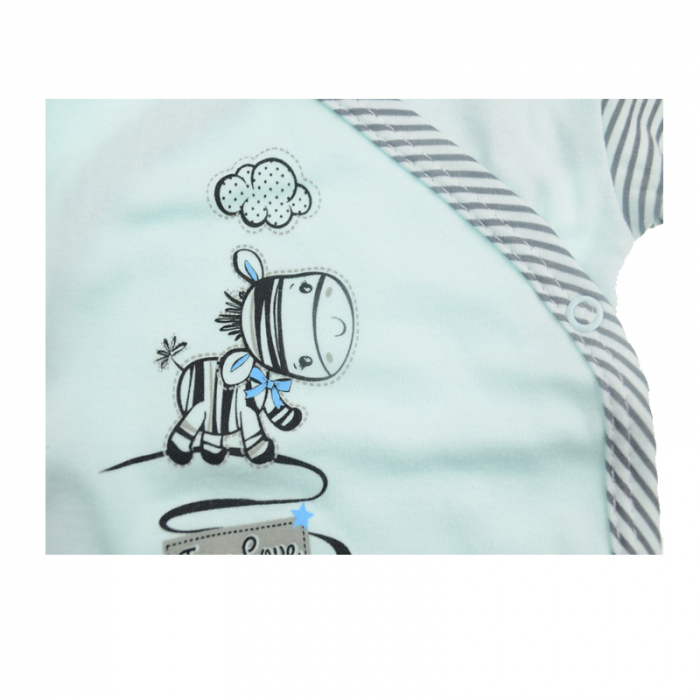 Bluza cu maneca lunga pentru baieti Koala Zebra 2953A1-68-cm, Multicolor [2]