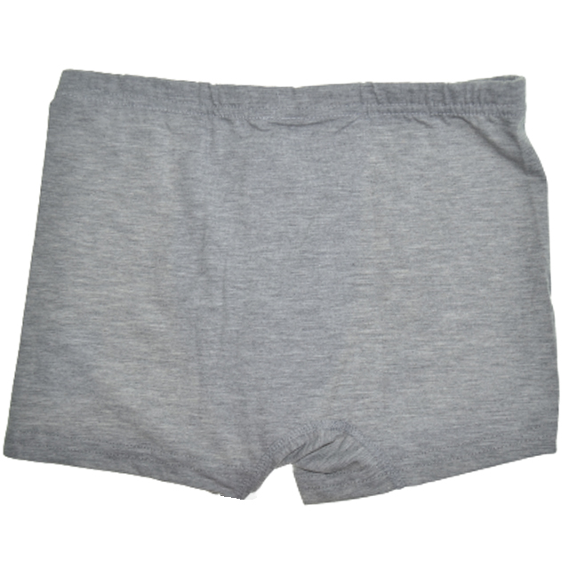 Boxeri pentru baieti Mini Junior 190723G, Gri [2]