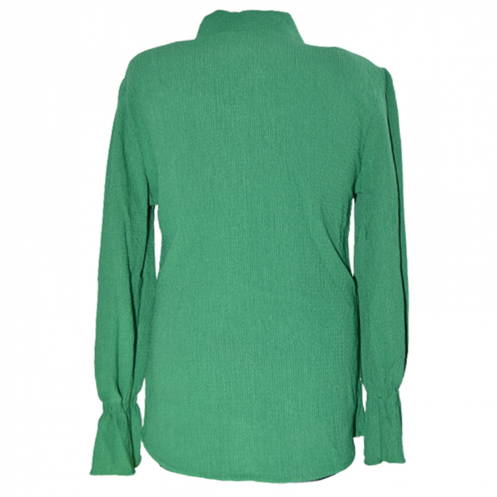 Camasa eleganta cu maneca lunga pentru fete Pretty PR0295, Verde [3]