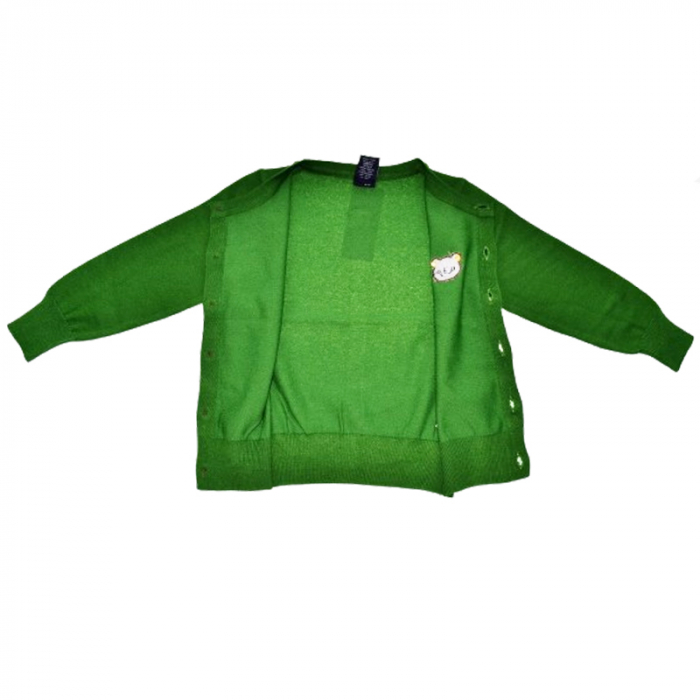 Cardigan cu maneca lunga pentru baieti Mini Junior CRDMJ-1, Verde [4]