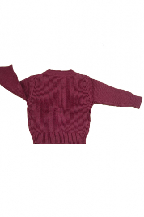 Cardigan cu maneca lunga pentru baieti Vitamins PLV20B-74, Bordo [3]