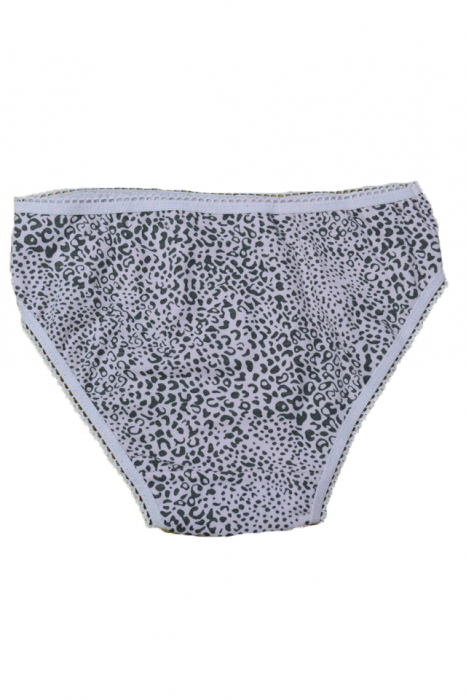 Chiloti pentru fete Elitol 12042-4-104, Multicolor [2]
