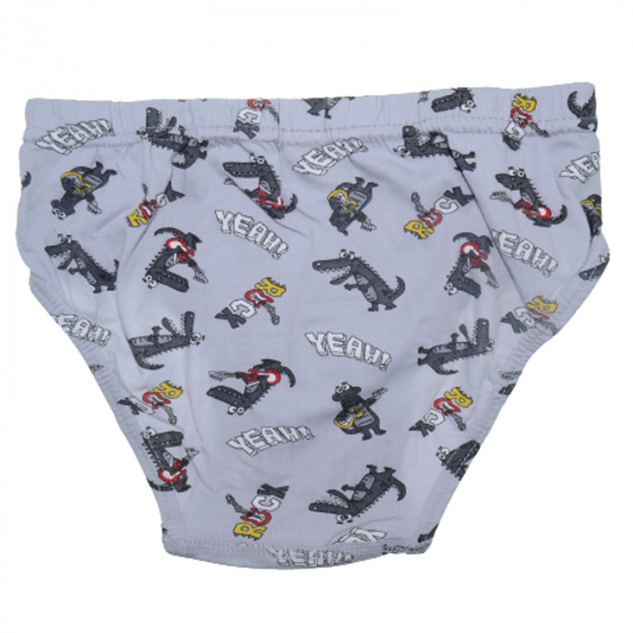 Chiloti pentru baieti Biyo 2668G, Gri [2]