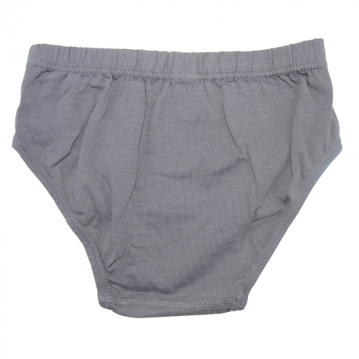 Chiloti pentru baieti Biyo 2446G, Gri [2]