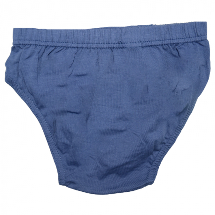 Chiloti pentru baieti  cu T-Rex Biyo 2683B, Bleumarin [2]