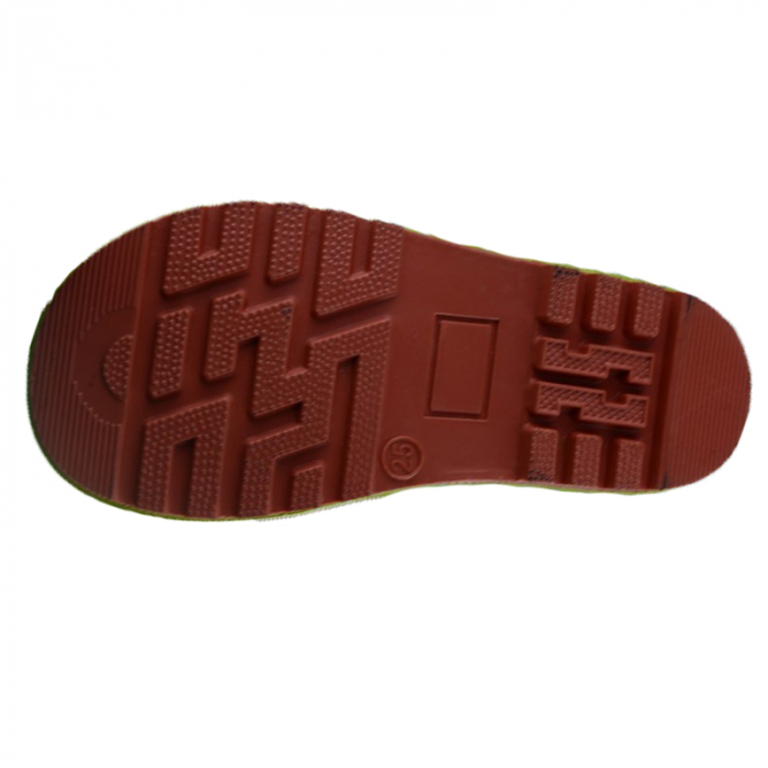 Cizme din cauciuc pentru fete Bi&Ki CG-2-25, Multicolor [2]