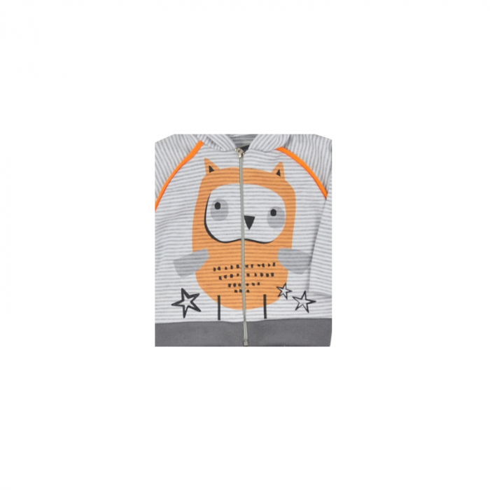Compleu 2 piese hanorac si pantaloni pentru baieti Koala 06-409-74-cm, Gri [2]