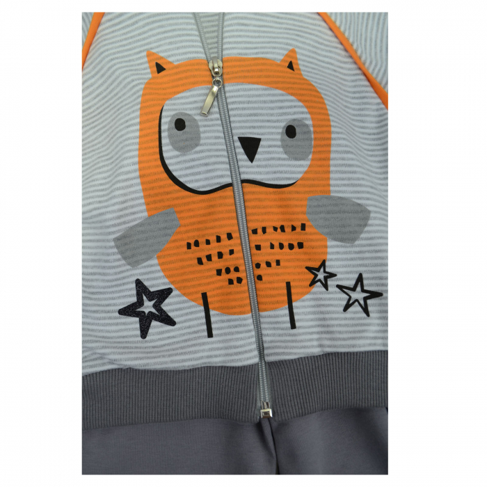 Compleu 2 piese hanorac si pantaloni pentru baieti Koala Paseczki 06-410_80 cm, Gri [3]