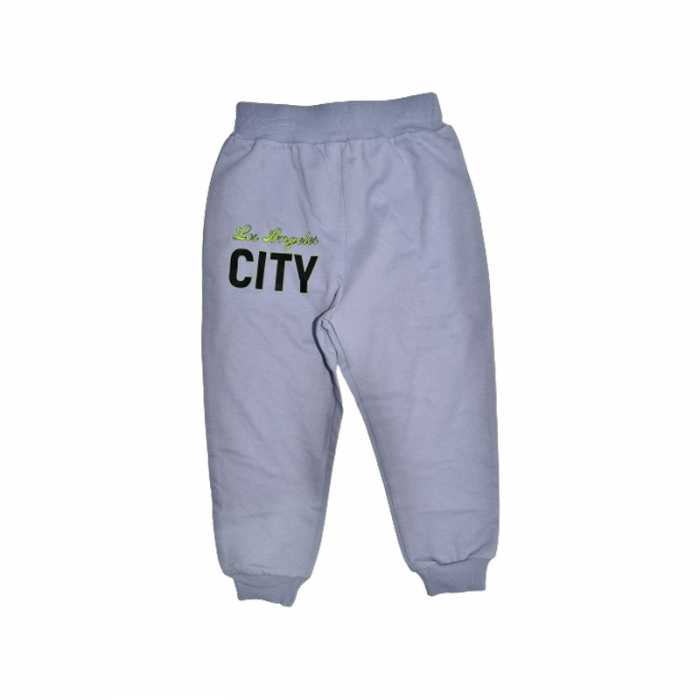 Compleu 2 piese pantaloni lungi si jacheta cu fermoar pentru baieti Mini Junior COMP-3640, Gri [3]