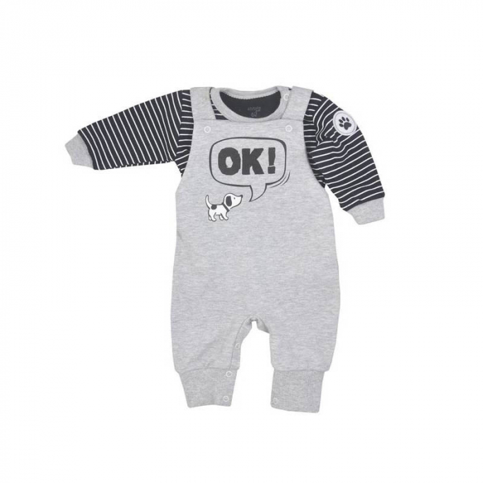 Compleu 2 piese salopeta si bluza pentru baieti Koala Piesek 08-804, Gri [2]