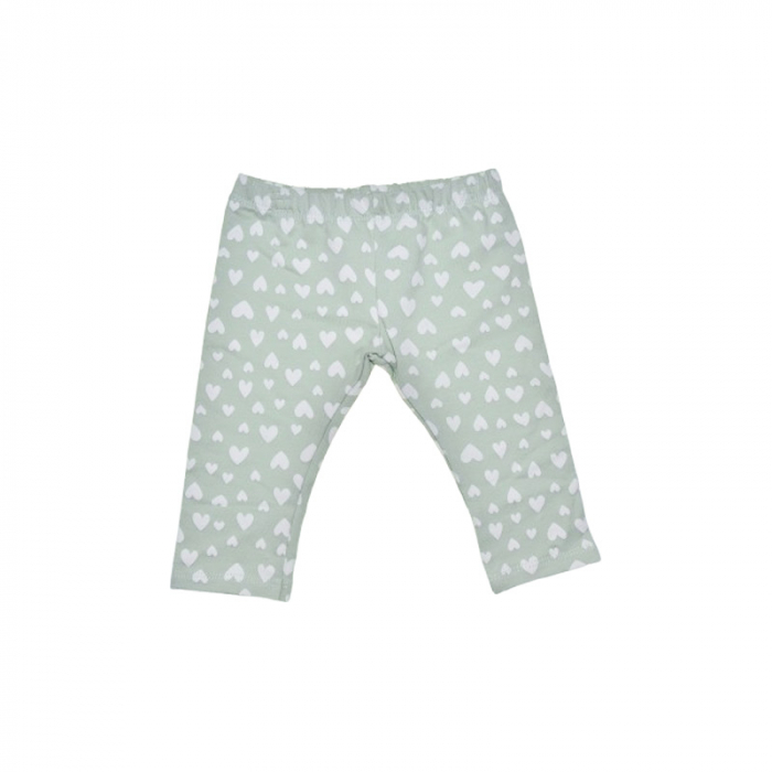 Compleu 3 piese pantaloni, bluza si vesta pentru fete Baby Rose, COMP-4586V, Verde [3]