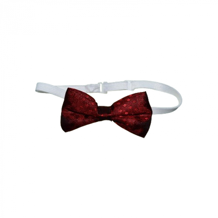 Compleu 3 piese pantaloni, camasa si papion pentru baieti Mini Junior COMP-13041, Bleumarin [6]