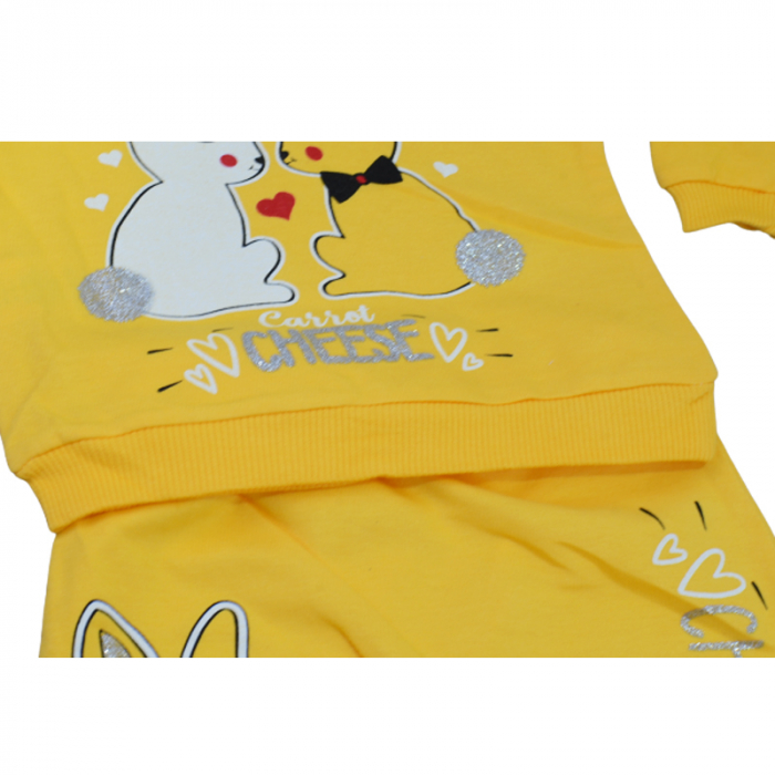 Compleu din 2 piese bluza cu maneca lunga si pantaloni pentru fete Findik baby 110822, Galben [3]