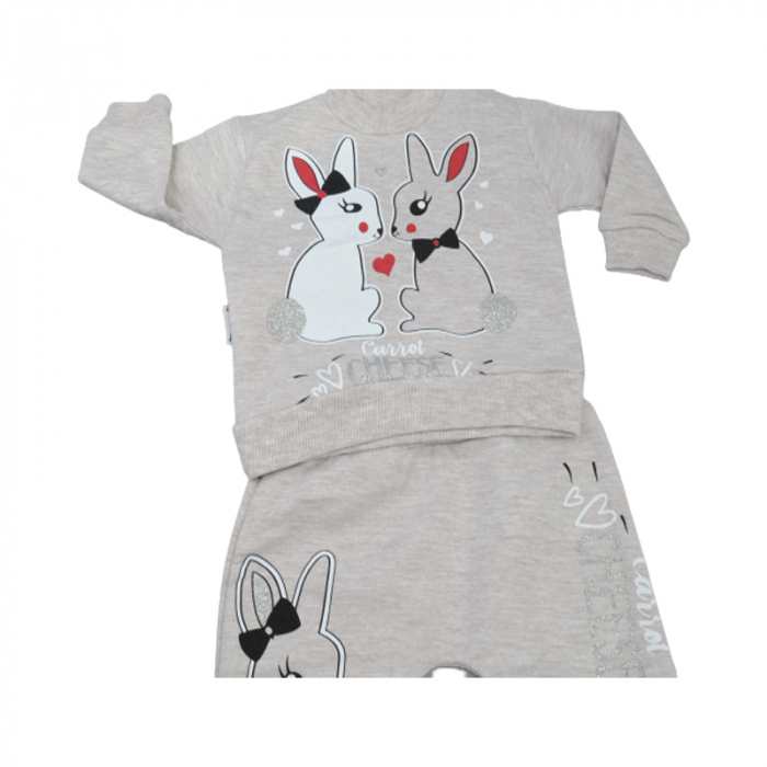 Compleu din 2 piese bluza cu maneca lunga si pantaloni pentru fete Findik baby 110822-1, Gri [3]