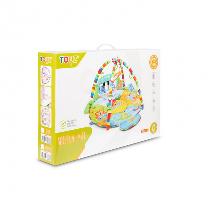 Covoras muzical de joaca pentru bebelusi BabyMix 042625, Roz [7]