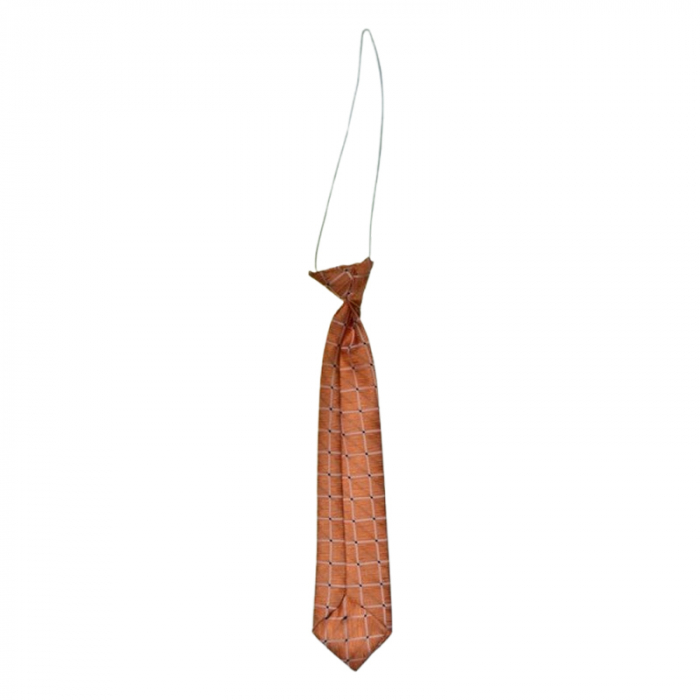 Cravata pentru baieti, Mini Junior CRV1903-4, Coral [2]