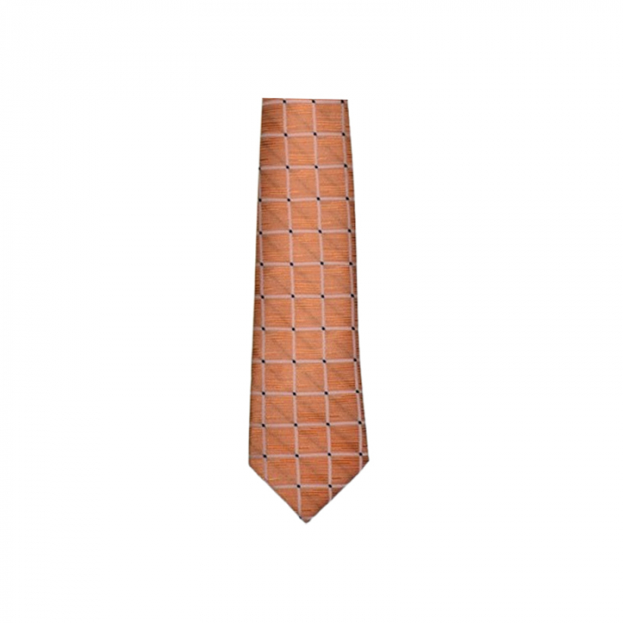 Cravata pentru baieti, Mini Junior CRV1903-4, Coral [3]