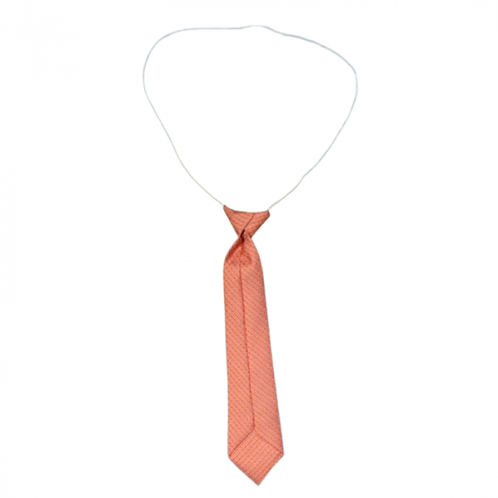 Cravata pentru baieti, Mini Junior CRV1903-5, Coral [2]