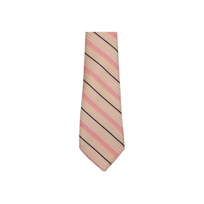 Cravata pentru baieti, Mini Junior CRV1903-7, Multicolor [3]