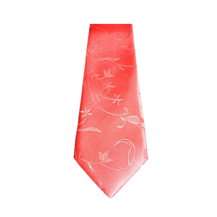 Cravata pentru baieti, Mini Junior CRV1903-9, Coral [2]