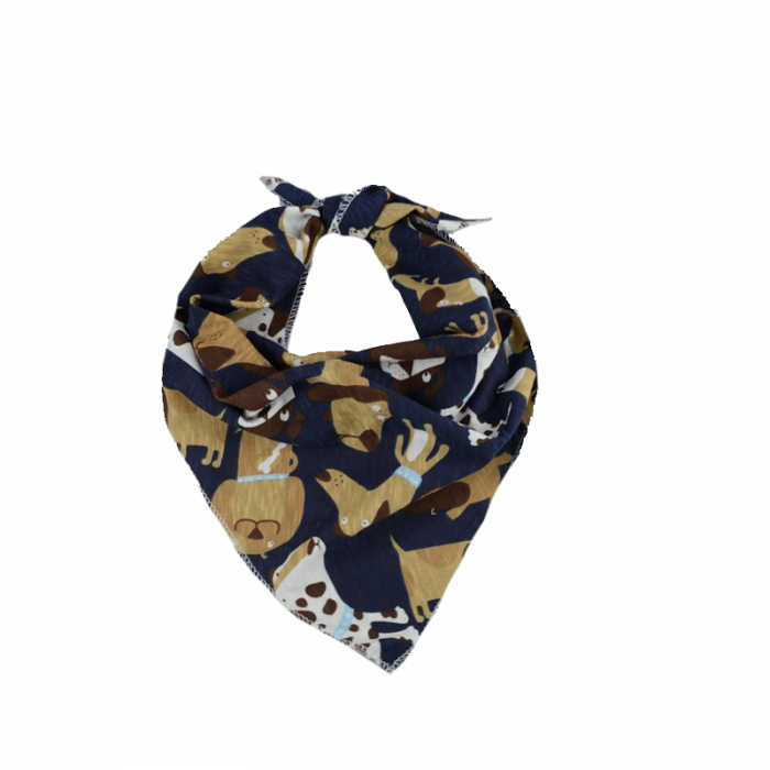 Esarfa pentru baieti Mini Junior CL-29-universal, Multicolor [1]
