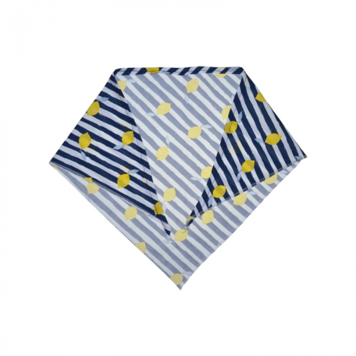 Esarfa pentru baieti Mini Junior ESF-MJ12-92, Albastru [2]