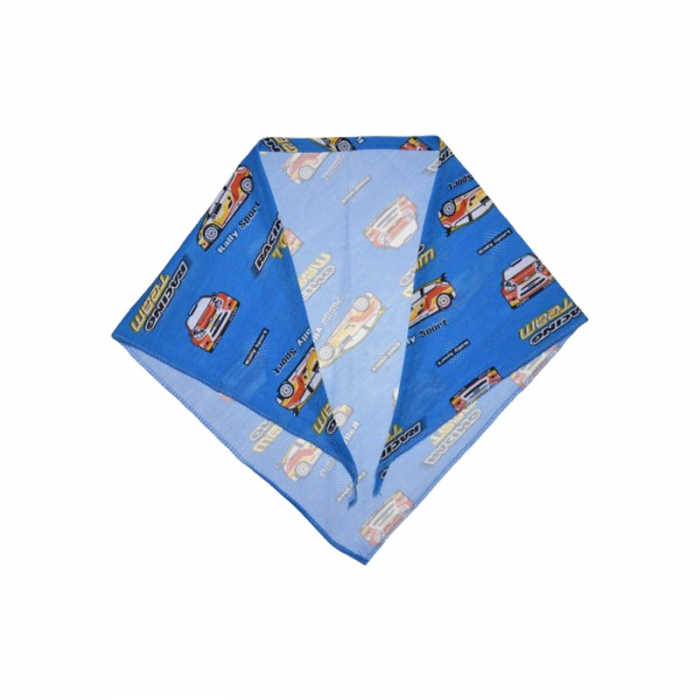 Esarfa pentru baieti Mini Junior GRR-111, Albastru [2]