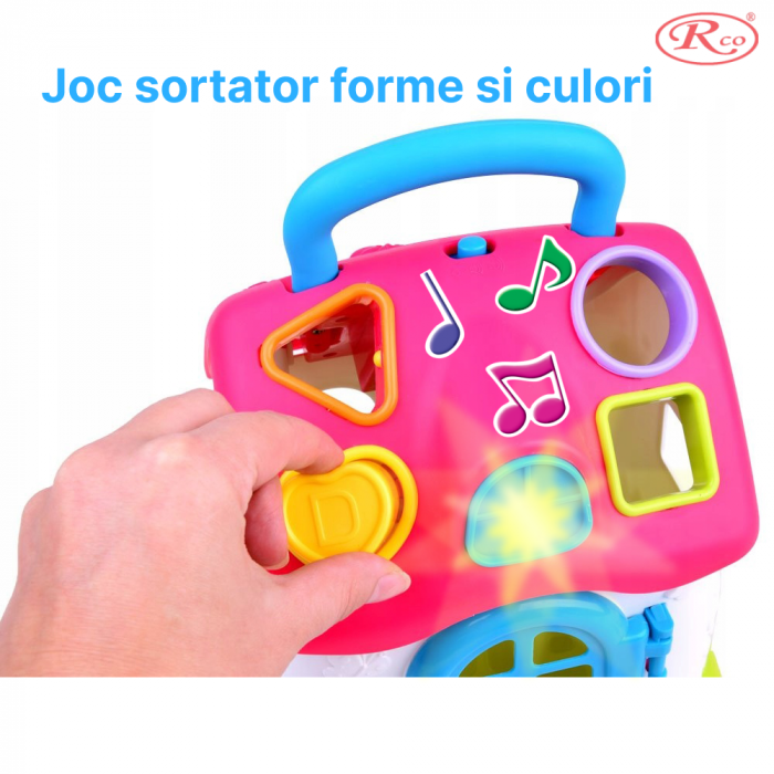 Jucarie Educativa, Casuta cu sortator de forme si culori RCO, 19.5x17.5x15 cm, +18 luni, WW7020-A [2]