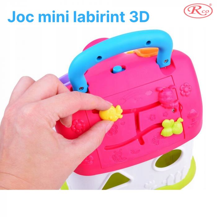 Jucarie Educativa, Casuta cu sortator de forme si culori RCO, 19.5x17.5x15 cm, +18 luni, WW7020-A [3]