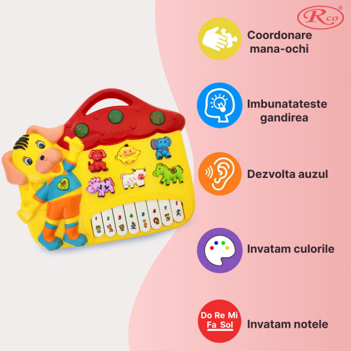 Jucarie Educativa, Mini Orga Catelus RCO, 22.5x27.5x3 cm, +12 luni, WW7014-B [3]