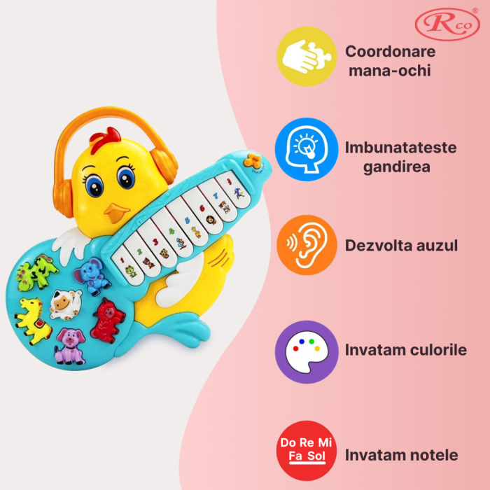 Jucarie Educativa, Mini Orga Puiut RCO, 23x27.5x3 cm, +12 luni, WW7017 [2]
