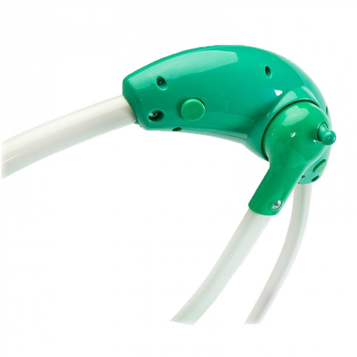 Leagan electric cu telecomanda Caretero LOOP F2088V, Verde [3]