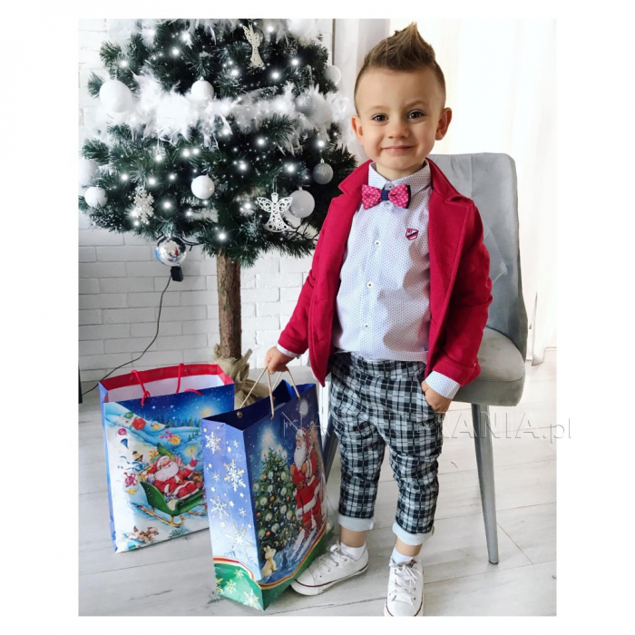Pantaloni pentru baieti 7853-86-cm, Gri [3]
