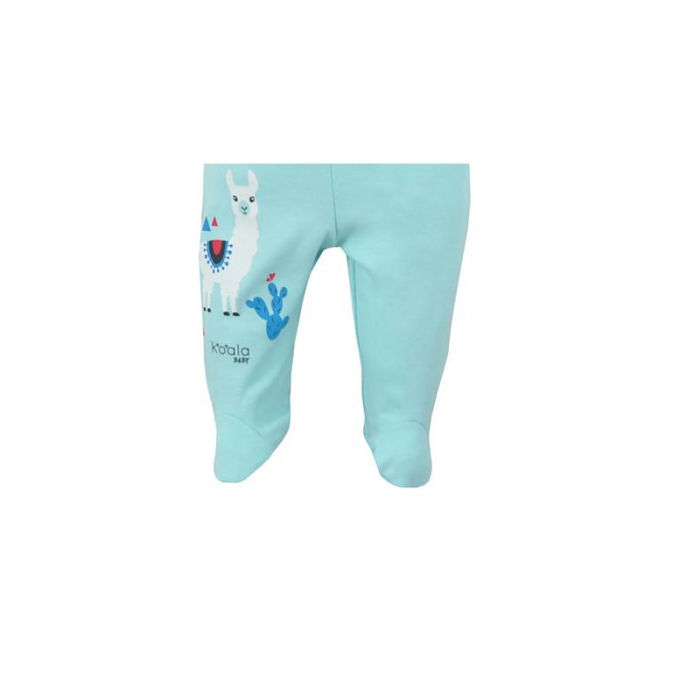 Pantaloni cu botosei pentru baieti Koala Happy Baby 07-506T-68-cm, Turcoaz [2]