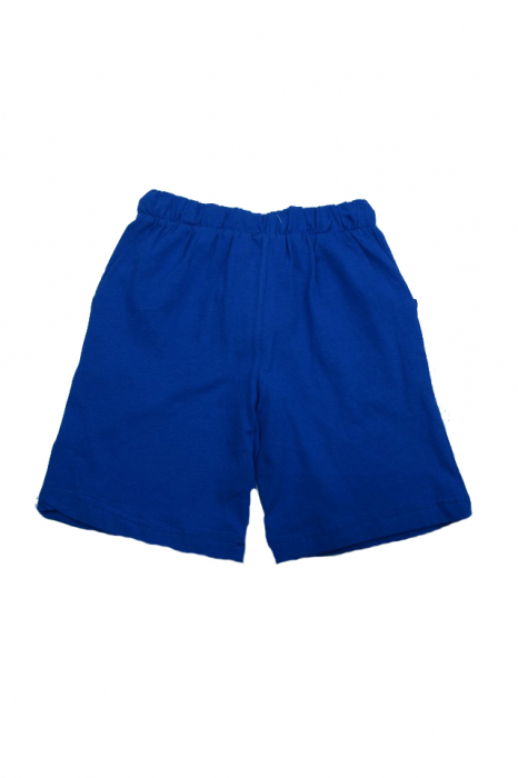 Pantaloni scurti pentru baieti Wendee BM01400002-1AL-110, Albastru [2]