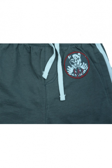 Pantaloni scurti pentru baieti Wendee DY14112-1G1-104, Gri [3]