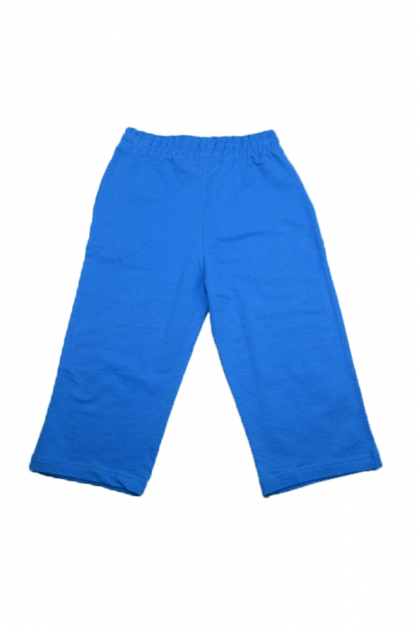 Pantaloni scurti pentru baieti Wendee DY56115-2AL1-128, Albastru [2]